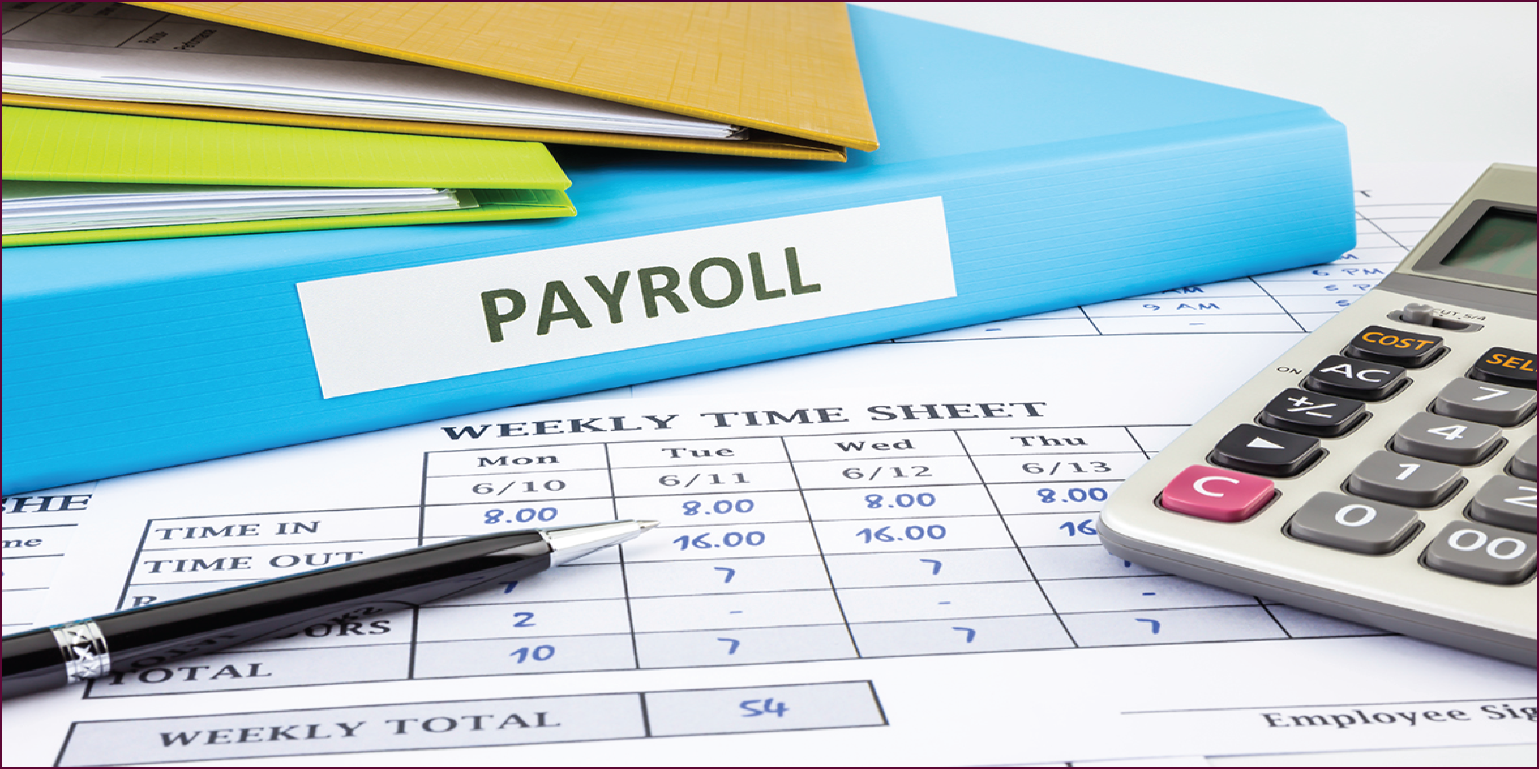  PAYROLL AND WPS SERVICES UAE